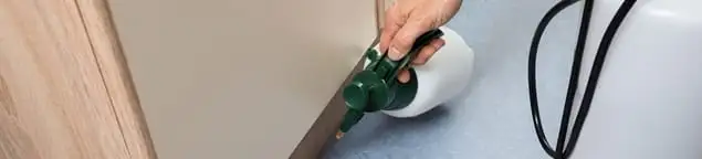 Bed bug exterminator treating baseboards and cracks with targeted spray in Marietta, GA