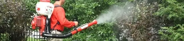 Mosquito control technician fogging shrubs and landscaping for mosquito treatment in Marietta, GA