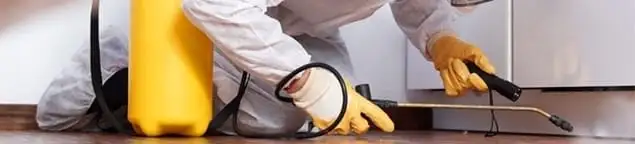 Roach exterminator treating cracks and crevices along kitchen baseboards in Marietta, GA