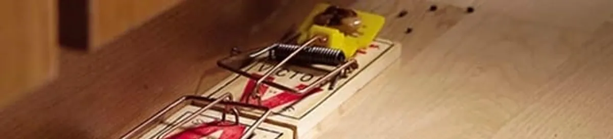 Rodent trap set indoors for rodent control and prevention in Marietta, GA